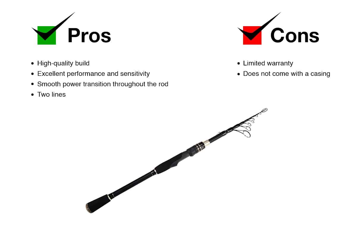 Telescopic rod fishing rod